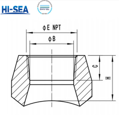 Threaded Branch Seat-PIC.jpg